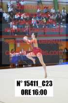 15411_C23