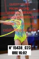 15438_C23