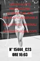 15444_C23