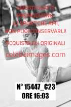 15447_C23