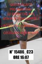 15486_C23