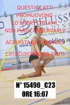 15490_C23