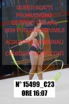 15499_C23