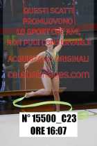 15500_C23