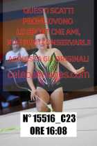 15516_C23