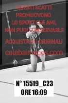 15519_C23