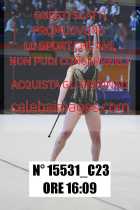 15531_C23