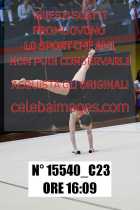 15540_C23