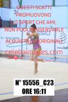 15556_C23