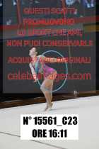 15561_C23