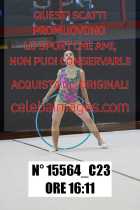 15564_C23
