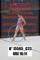 15565_C23