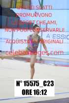 15575_C23