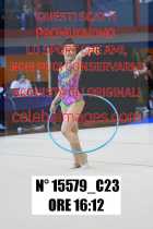 15579_C23