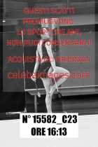 15582_C23