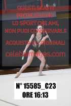 15585_C23