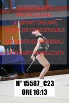 15587_C23