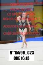 15590_C23