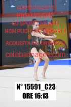 15591_C23
