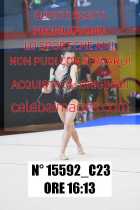 15592_C23