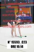 15593_C23