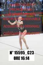 15595_C23