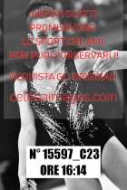 15597_C23