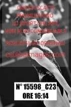 15598_C23