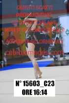 15603_C23