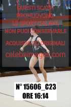 15606_C23