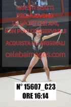 15607_C23