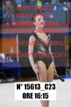 15613_C23