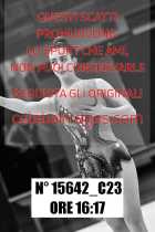 15642_C23