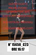 15650_C23