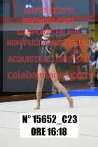 15652_C23
