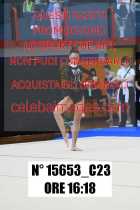 15653_C23