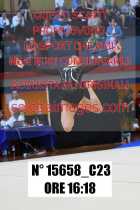 15658_C23