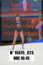 15675_C23