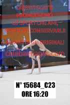 15684_C23