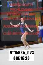 15685_C23