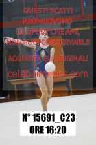 15691_C23