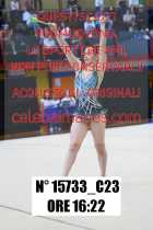 15733_C23