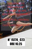 15774_C23