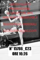 15786_C23