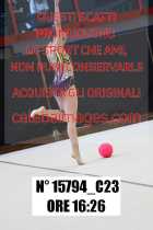 15794_C23