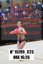 15799_C23