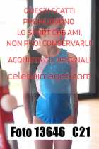 13646_C21