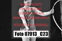 07913_C23