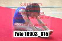 10903_C15