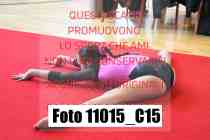 11015_C15
